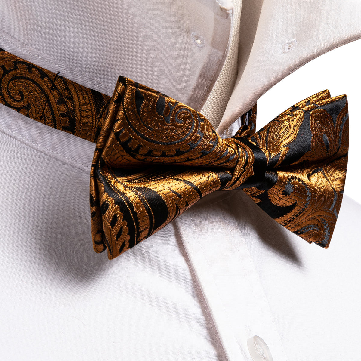 Gold Black Paisley Bow Tie Set bow ties - Sophisticated Gentlemen
