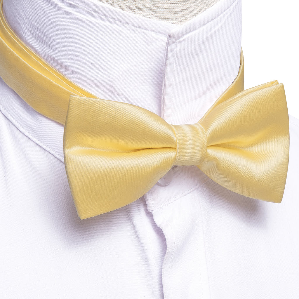 Pale Yellow Solid Silk Bow Tie Set bow ties - Sophisticated Gentlemen