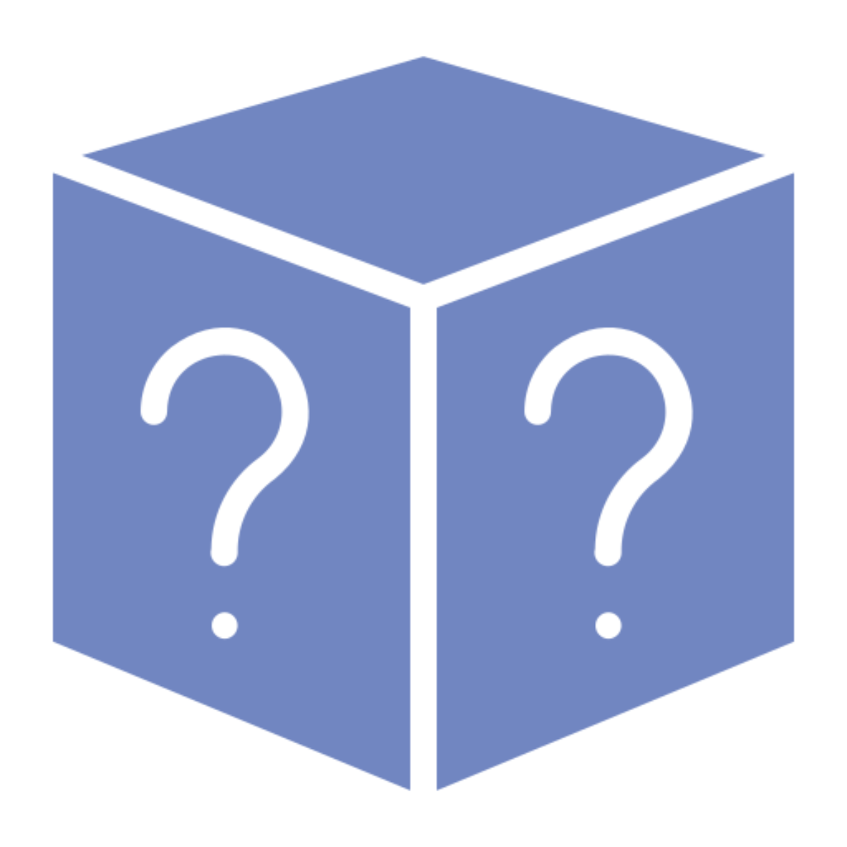 Mystery Item