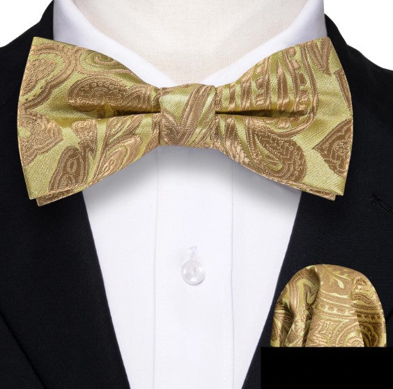 Bow Tie Bow Tie Sets - Sophisticated Gentlemen