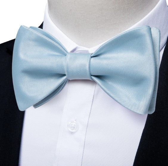 Bow Tie bow tie - Sophisticated Gentlemen