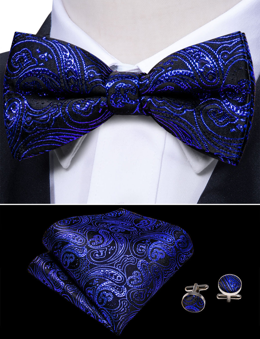 RoyalBlue Paisley Bow Tie Set bow ties    - Sophisticated Gentlemen