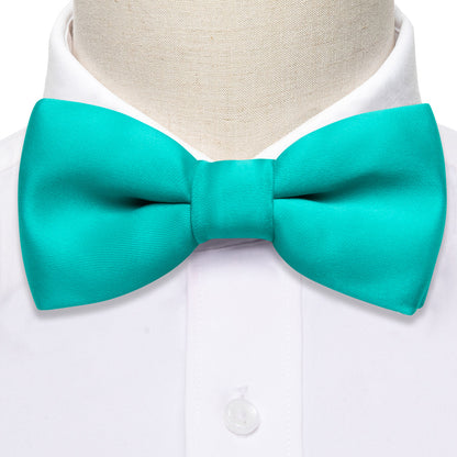 Aqua Solid Kids Bow Tie Set bow ties    - Sophisticated Gentlemen