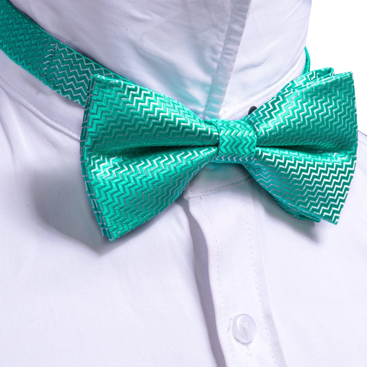 Teal Green Aqua Curve Bow Tie Set bow ties    - Sophisticated Gentlemen