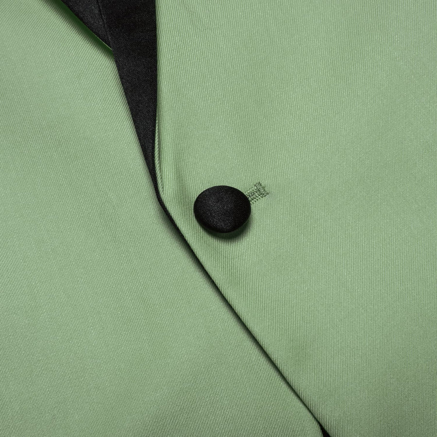 Pale Green Solid Shawl Collar Silk Tuxedo Jacket tuxedo    - Sophisticated Gentlemen