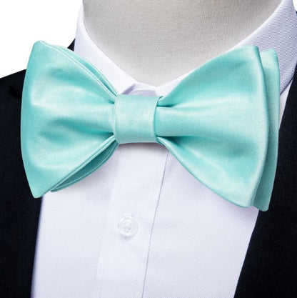 Bow Tie bow tie    - Sophisticated Gentlemen